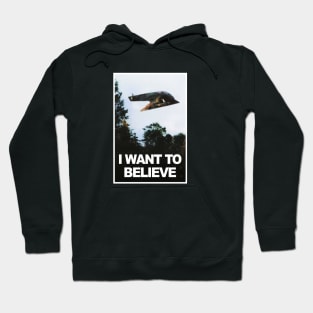 I want to Believe (Fett version) Hoodie